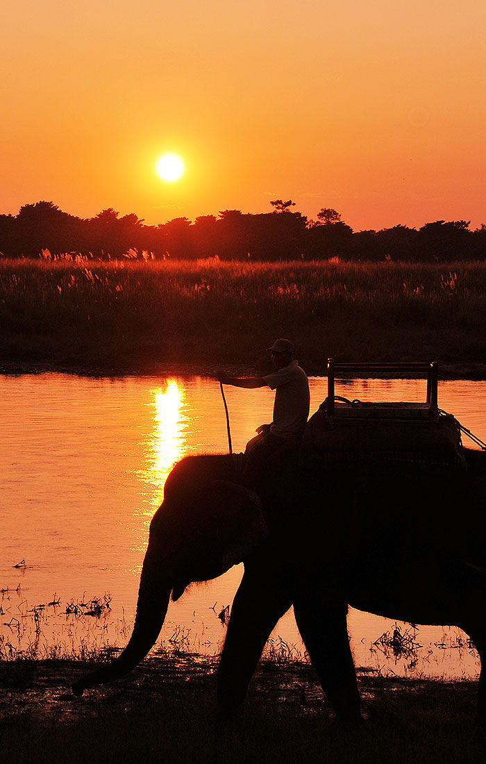 home_destination_chitwan