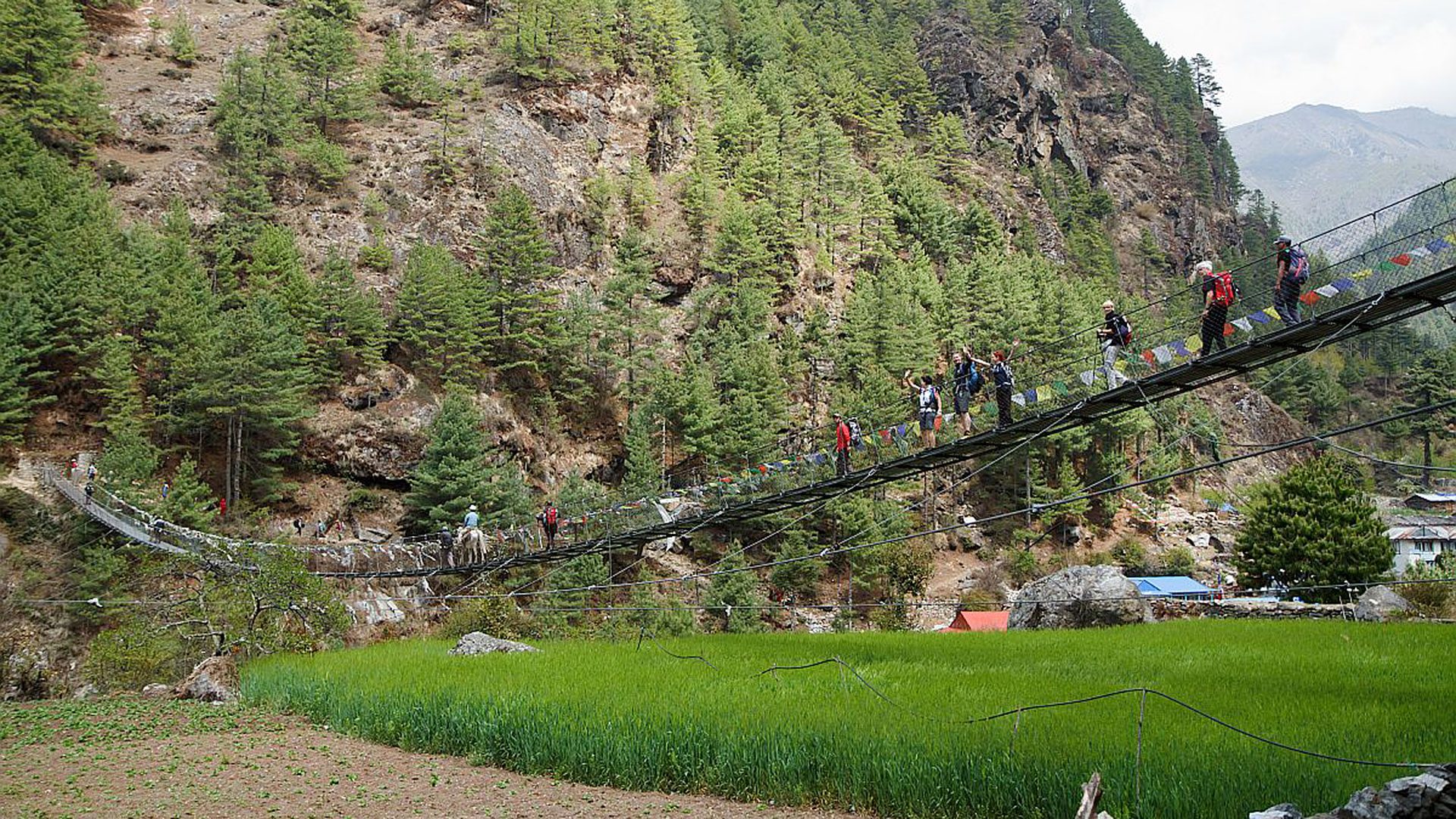 suspension bridge in sagarmatha-national park